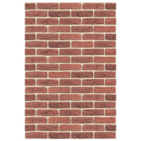 Плита ФАСПАН Кирпичный №1005 Вертикаль 9 мм 1200х600мм (Везувий) Плита ФАСПАН Кирпичный №1005 Вертикаль 9 мм 1200х600мм (Везувий)