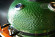 Керамический гриль SG с окошком, 57 см / 22 дюйма (зеленый) (Start Grill) в Магнитогорске